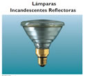 Fabrica de Lamparas, Linea Philips, Luces Philips